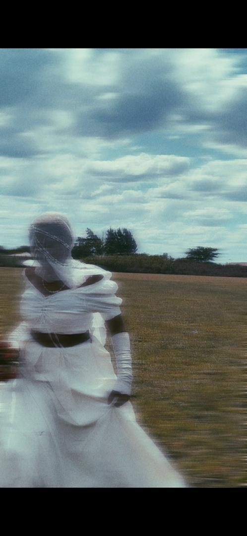 The Run Away Bride